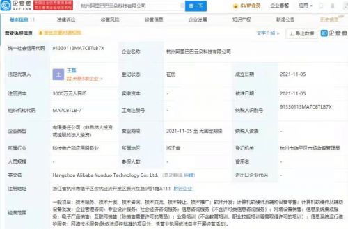 阿里巴巴新設科技公司，注冊資本3000萬進軍信息系統集成服務領域