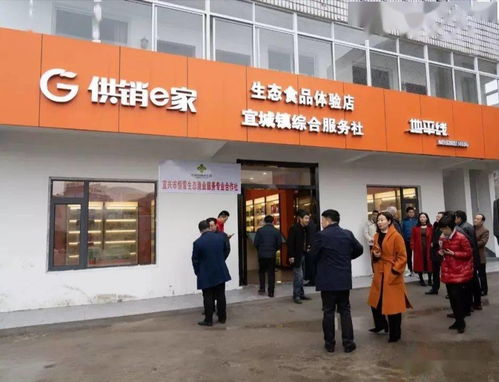 六月，開(kāi)啟一場(chǎng)藍(lán)莓的采摘之旅 投資興辦實(shí)業(yè)的田園機(jī)遇